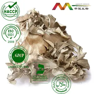 100% Natrual Maitake Mushroom Extract 10% 15% 20% 25% 30%