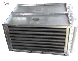 SS306 &SS304 Tube Heat Exchanger Gas Boilers Industrial Cooler Radiator for Evaporators