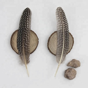 6-8.4 Inch(15-21 Cm) Kualitas Tinggi Alami Bermotif Guinea Fowl Sayap Bulu