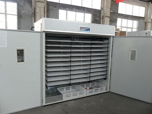 Plumeuse de volaille <span class=keywords><strong>un</strong></span> automatique industrielle 5280 huevo incubadora - Product Image 2