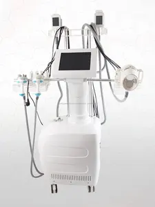 Mais recente China Fornecedor duplo gordura crioterapia congelamento rf vcacuum bio slimming do corpo máquina facial 7 em 1
