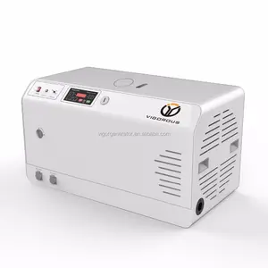 Generatore di Standby domestico a doppio combustibile (Gas e benzina) Ultra-silenzioso generatore di Gas naturale da 5.5 kw