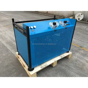 Tüplü satılık hava kompresörü, dalış taşınabilir hava kompresörü, yüksek basınç paintball hava kompresörü( bx100pa)