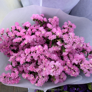 Pétalos de Flores Secas, Flor de Limonium Sinense para Decoración, No Me Olvides - Product Image 2