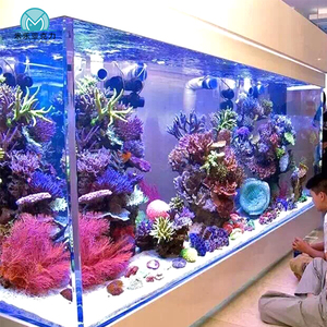 Hete Verkoop Nieuw Ontworpen Aquaponic Gepersonaliseerde Decoraties Acryl Vis <span class=keywords><strong>Aquarium</strong></span> Tank - Product Image 6