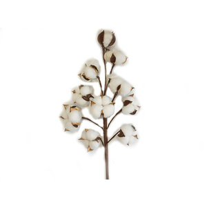 Décoration de mariage à domicile, fleurs artificielles séchées en coton coloré de Chine - Product Image 4