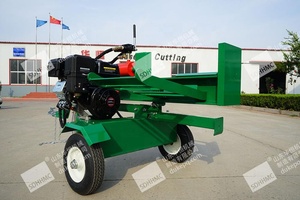 <span class=keywords><strong>Fendeuse</strong></span> de Bûches 30 Tonnes avec Moteur Essence B&S 15HP Certifié EPA, Utilisation Forestière, Domicile et Agricole, Système d'Alimentation Manuel, État Usagé - Product Image 3