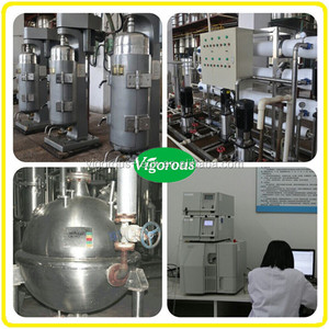 Chất Lượng Cao Bưởi Hạt Chiết Xuất/Citrus Paradisi L. Extract Bột - Product Image 2