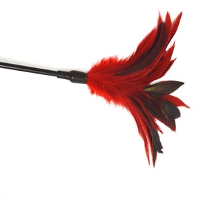 <span class=keywords><strong>Naughty</strong></span> <span class=keywords><strong>Spanking</strong></span> Whip Feather Tickler adulto sexo juguete Foreplay juego - Product Image 2