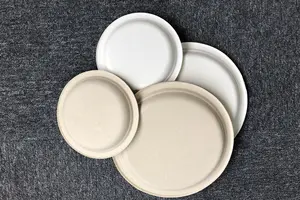 Compostable Plates Compostable Biodegradable Sugarcane Dinnerware Bagasse Paper Pulp 10inch Round Plate