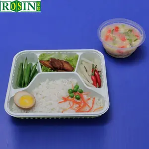 3 Compartment Microwaveable Disposable Lunch Box Plastic Food Tray