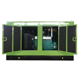 Bio Gas Syngas Biomass LPG LNG CNG Electric Methane Biogas Wood Gas Turbine Generators With Soundproof Canopy for sale