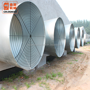 2025 Hot Sell New Goldenest Factory Design Automatic <strong>Chicken</strong> Rearing Equipment/Poultry Control Shed 1000 Shandong <strong>Origin</strong> - Product Image 4
