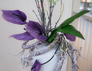 <span class=keywords><strong>Fiori</strong></span> <span class=keywords><strong>e</strong></span> <span class=keywords><strong>Piante</strong></span> di Anthurium <span class=keywords><strong>Piante</strong></span> di Anthurium in <span class=keywords><strong>Vendita</strong></span> - Product Image 2