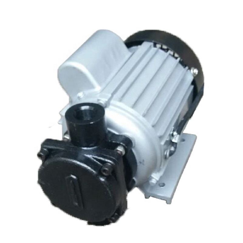 220v Small Size Hot Food Oil Transfer Gear Oil Pump