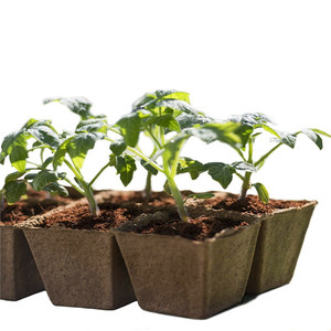 Macetas Cuadradas <span class=keywords><strong>de</strong></span> Turba para Plántulas, Macetas <span class=keywords><strong>de</strong></span> Pulpa <span class=keywords><strong>de</strong></span> Papel, Transplantador <span class=keywords><strong>de</strong></span> Cadena, al por Mayor, Ecológicas y Biodegradables, al Mejor <span class=keywords><strong>Precio</strong></span> - Product Image 5