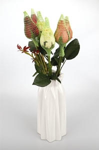 เน็ตแบ็กบรรจุภัณฑ์ DLA-1-17พลาสติกที่ปลอดภัยย่อยสลายได้ตาม100% - Product Image 3