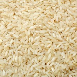 Sona masoori — 5% jeux de riz cassés, origine indienne, vente en gros - Product Image 4