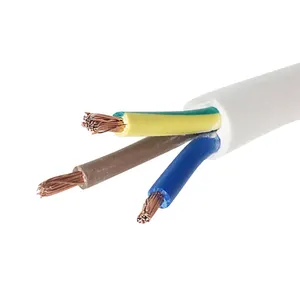 60227 IEC 53 Konduktor Tembaga PVC/D Insulasi PVC/ST5 Kabel Listrik Fleksibel Berselubung