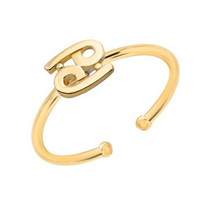 Chevalière en acier inoxydable plaqué or 18K, anneau de doigt minimaliste, zodiaque, Non polissage, tendance, bijoux pour cadeaux, 1 pièce - Product Image 2