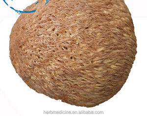 <span class=keywords><strong>Champignon</strong></span> <span class=keywords><strong>crinière</strong></span> de <span class=keywords><strong>lion</strong></span>, <span class=keywords><strong>champignon</strong></span> dent barbe de Hericium Erinaceus - Product Image 3