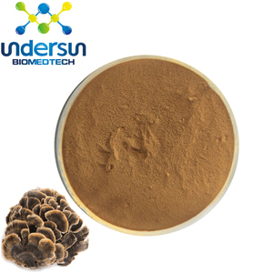 สารสกัดเห็ดหางไก่งวงอินทรีย์ Trametes Versicolor Polysaccharide - Product Image 2
