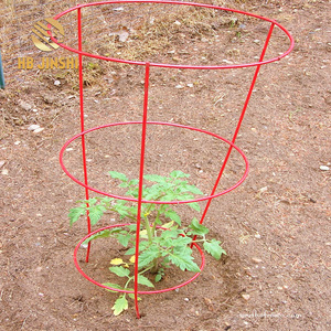 30"x18" <strong>Metal</strong> Cone Galvanized Tomato Cage <strong>Plant</strong> <strong>Support</strong> - Product Image 3