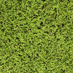 カーペットマットロール人工プラスチックモス装飾用 - Product Image 3