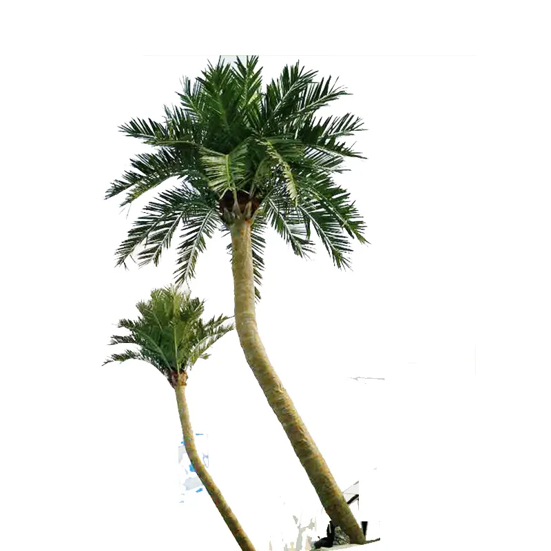 Özel tasarım peyzaj dekoratif plastik yapay kavisli hindistan cevizi palmiye ağaçları satış