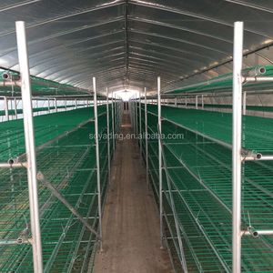גבוהה באיכות מכירה לוהטת פטריות חממה חקלאות המשמשת למכירה - Product Image 5