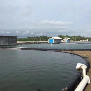 Hdpe Pvc Viskwekerij Cirkelvormige Tanks Vijvervoering Voor Aquacultuur Hoge Kwaliteit Geomembranen Voor Visteelt - Product Image 6