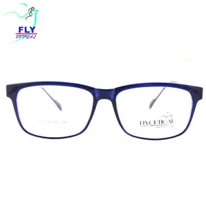 Wholesale Whenzhou CP Teenager Optical Eyewear Plastic Glasses Frames