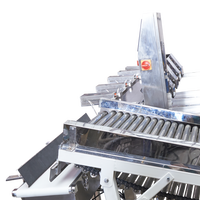 OEM Weegsorteerder voor fruit en groenten JZW-100g