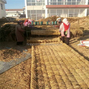 เครื่องทอเสื่อฟางข้าวคุณภาพเยี่ยม/เครื่องถักเสื่อจากใบไผ่สำหรับโรง<span class=keywords><strong>เร</strong></span>ือนปลูกผัก - Product Image 2