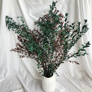 Fournisseur de fleurs séchées, feuilles d'<span class=keywords><strong>eucalyptus</strong></span> séchées et conservées, fleurs séchées en vrac pour bouquet de mariage - Product Image 1