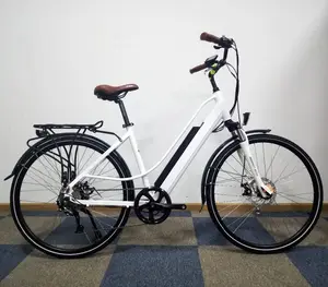 BISEK CYCLE electric bike 36V 250W Rear motor driving electric bike city Bicycle For Sale
