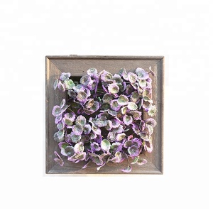 Qatar Día Nacional DIY casa/hotel/oficina/restaurante/decorativos de alta simulación regalo suculento colgante de pared - Product Image 6