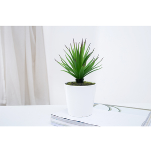 Muy realista tamaño pequeño artificial plantas en maceta <span class=keywords><strong>cactus</strong></span> Decoración - Product Image 1