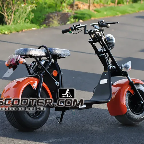 EEC אושר קטנוע גלגל גדול 1500 w citycoco ארוך טווח חשמלי קטנוע ES8004VIII