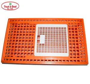 Cage de transport des poules en HDPE, 2 tailles, prix d'usine