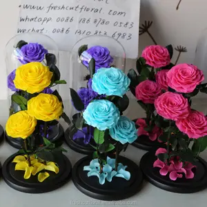 Großhandel Erhalten Rosen Erhalten Rosen Mit Stem in glas dome Von Yunnan