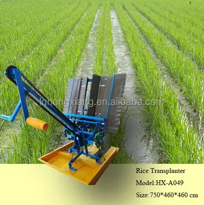 Machine de plantation de semoir de riz direct en Inde