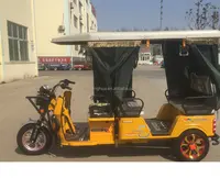 S-012 48V 1000w Chinês Quente Auto Scooter Elétrico Rickshaw