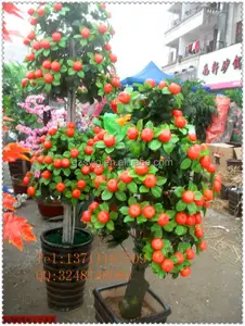 Árbol de naranja artificial, fruta de naranja, fruta falsa tropical, fruta de simulación decorativa