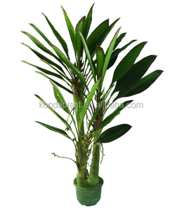 De china al por mayor de árboles artificiales, plantas artificiales jardín, banana artificial planta de árbol - Product Image 4