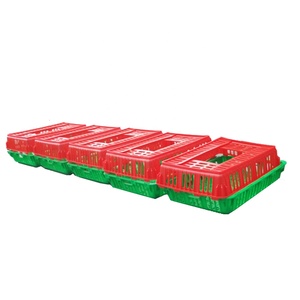 Élevage de volaille Live à mailles en plastique, Cage mobile pour stimulation des chailles, lapin, emmêlé - Product Image 6