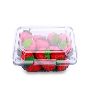 Einweg-Obst verpackungs box aus Kunststoff quadratischer Fabrik preis kunden spezifischer Clamshell-Verpackungs behälter für frische Lebensmittel