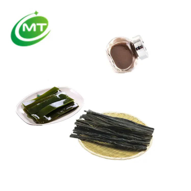 Bio 5%-98% Fucoidan Laminaria japonica Seetang Extrakt Pulver