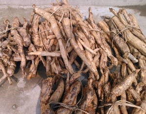Nở Ngực Miracle Radix Puerariae Mirifica <span class=keywords><strong>Extract</strong></span> Powder Làm Cho Vú Của Bạn Lớn Hơn Lớn Hơn - Product Image 2