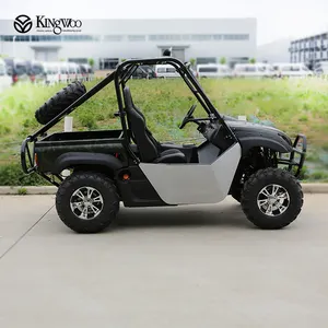 2018 新款便宜强力电动 utv 5000 w，3000 w